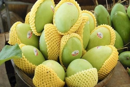 Nhu cầu tiêu thụ cao xoài Việt Nam nhập khẩu vào Mỹ 8 tháng đạt 2,8 triệu USD
