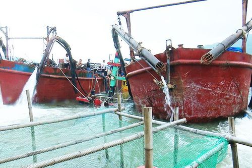 Trục vớt tàu cá bị chìm do ảnh hưởng của bão số 12