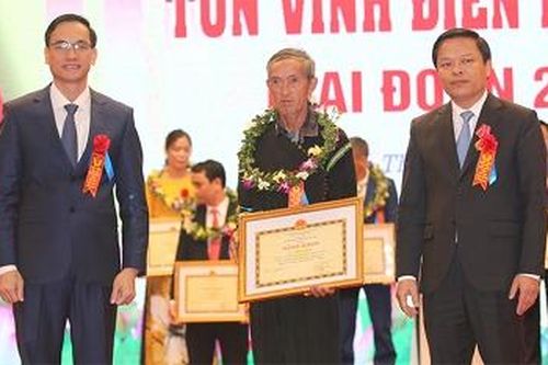 Những bông hoa trong vườn hoa thi đua yêu nước