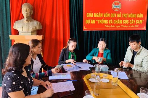 Giải ngân vốn triển khai 3 dự án phát triển sản xuất