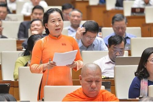 Tăng đại biểu HĐND chuyên trách cho TP HCM