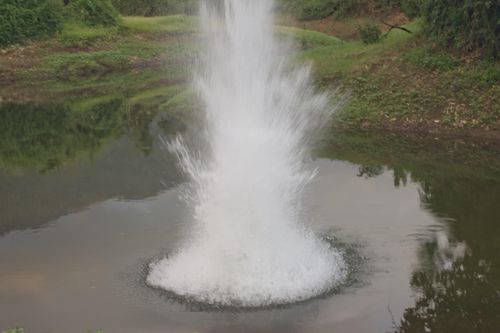 Dùng thuốc nổ đánh cá, 2 người trọng thương