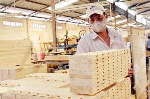 Sản xuất gỗ cao su để xuất khẩu bền vững