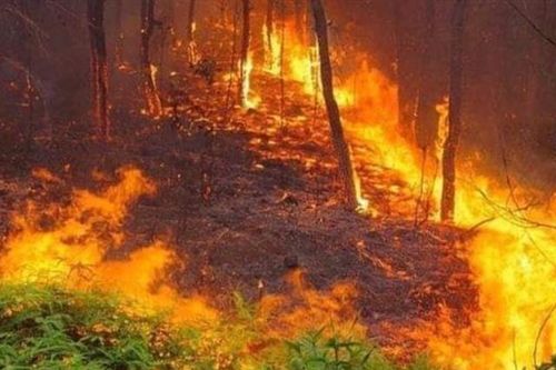 Vĩnh Phúc: Xảy ra cháy rừng ở xã Ngọc Thanh