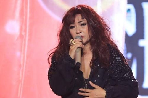 Ca sĩ Phương Thanh gỡ bài viết xúc phạm người dân Quảng Ngãi