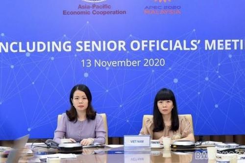 Hội nghị tổng kết các Quan chức cao cấp (CSOM) APEC 2020