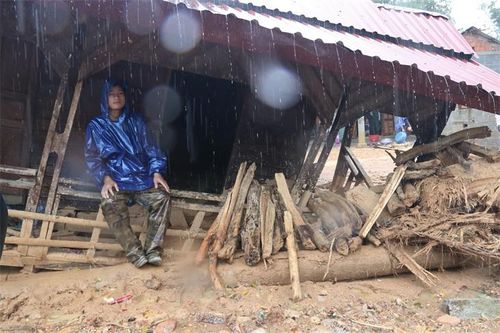 Cuộc sống mới hồi sinh trên tâm lũ quét