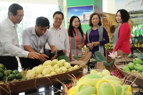 Kiều bào chung tay đưa hàng Việt vào Mỹ