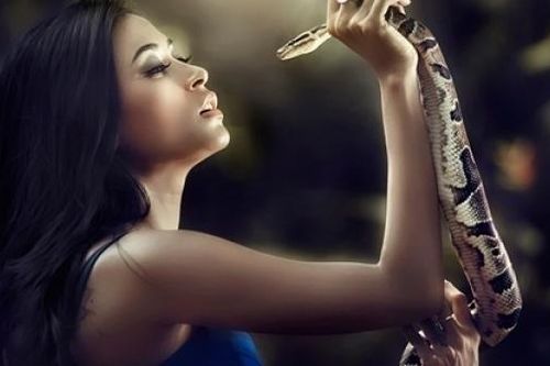 Nằm mơ thấy rắn là dấu hiệu điềm lành hay dữ?