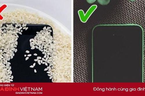 Tại sao không nên cho điện thoại bị ướt vào thùng gạo?