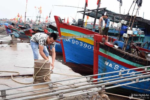 Nghệ An ra công điện khẩn cấm tàu thuyền ra khơi trong bão số 13