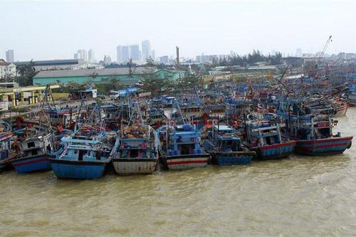Nghệ An cấm tàu ra khơi, Quảng Nam ra phương án phòng, chống bão