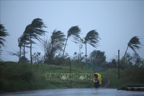 Trung Quốc cảnh báo bão Vamco