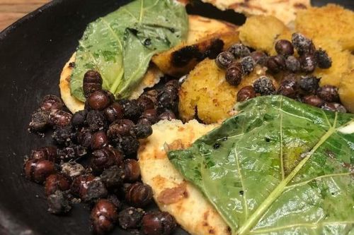 Lạ lùng món kiến mông to của người Colombia