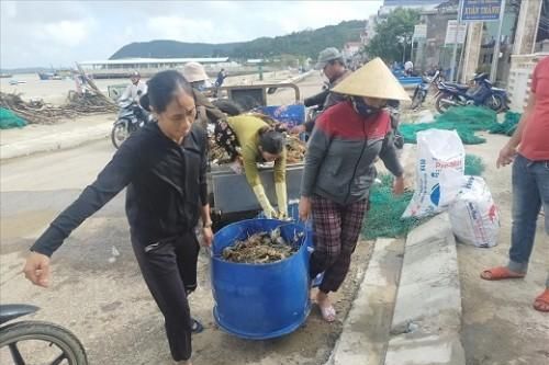 Người dân 'thủ phủ hải sản' Phú Yên bỗng trắng tay sau cơn lũ