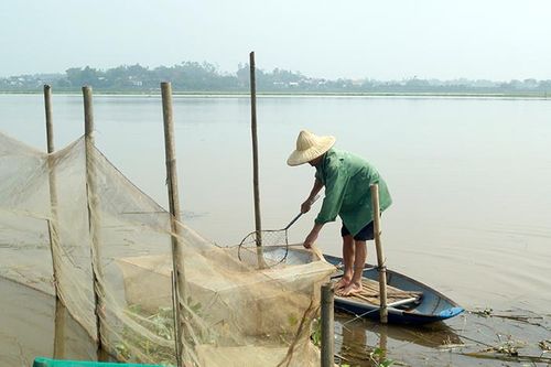 Chương Xá xây dựng nông thôn mới
