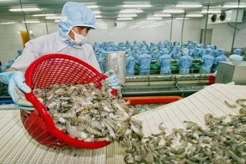Tác động của Hiệp định Thương mại Tự do Việt Nam-EU (EVFTA) đối với sự phát triển bền vững ngành thủy sản