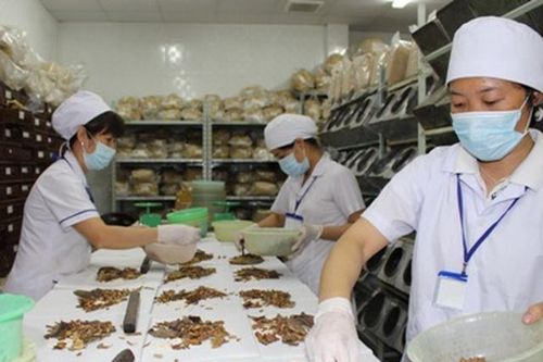 Phát triển y học cổ truyền trong chăm sóc sức khỏe người dân