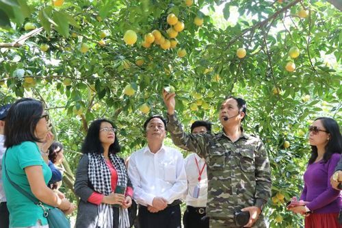 Bắc Giang: Gắn phát triển vùng cây ăn quả với phát triển du lịch sinh thái