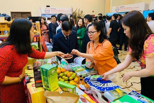TP Hồ Chí Minh liên kết hợp tác du lịch với 8 tỉnh Tây Bắc mở rộng