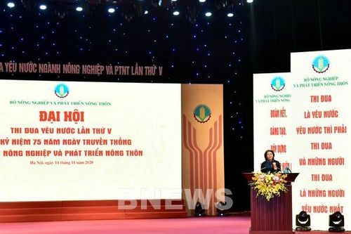 Phó Chủ tịch nước: Xây dựng nền nông nghiệp thịnh vượng, nông dân giàu có