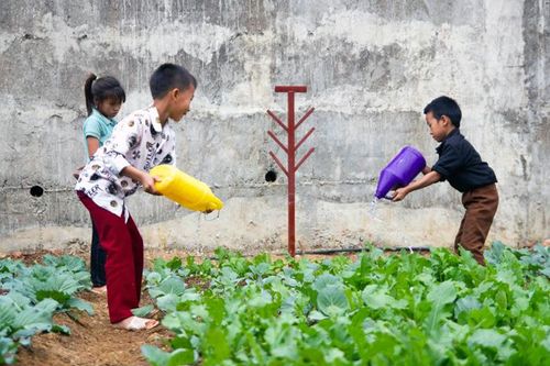 Thêm những bữa ăn đủ chất, hợp vị