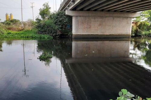 Assessment of the quality of surface water of An Ha Canal, Duc Hoa District, Long An Province