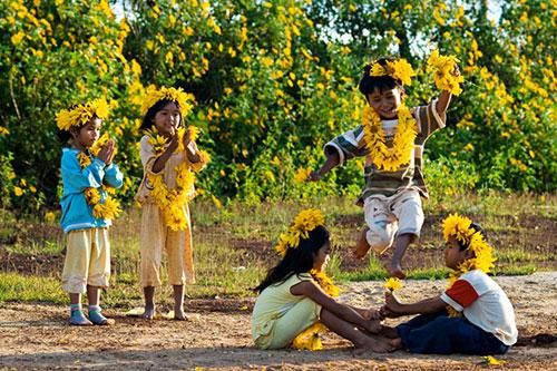 Xây dựng mùa hoa dã quỳ ở Ba Vì thành sản phẩm du lịch hấp dẫn