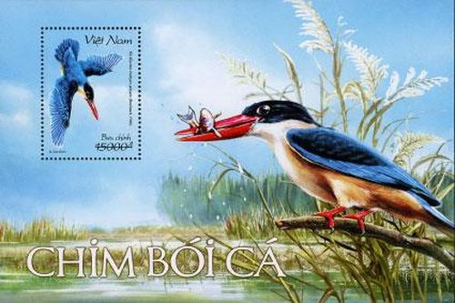 Phát hành bộ tem ''Chim bói cá''