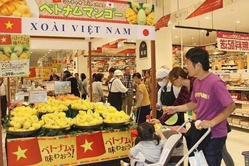 Cầu nối đưa hàng Việt ra thế giới