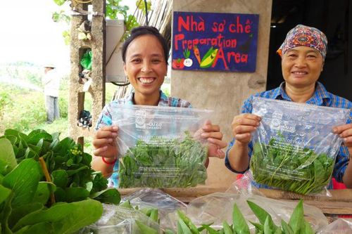 Vương quốc Bỉ và quan hệ hợp tác hiệu quả với Việt Nam