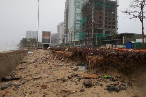 Bão Vamco quét qua, Đà Nẵng ngổn ngang hơn 1.000 tấn rác