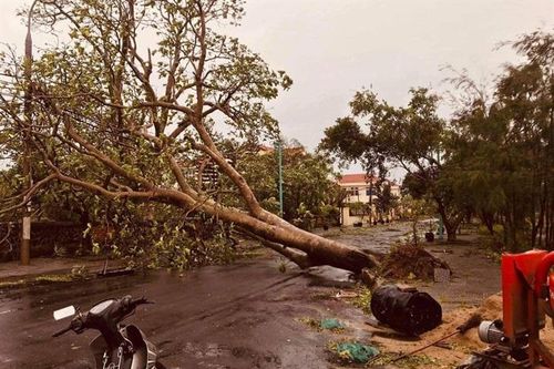 Cồn Cỏ sau bão