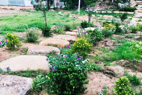 Bà chủ 60 tuổi nổi ghen trong buổi họp lớp của chồng