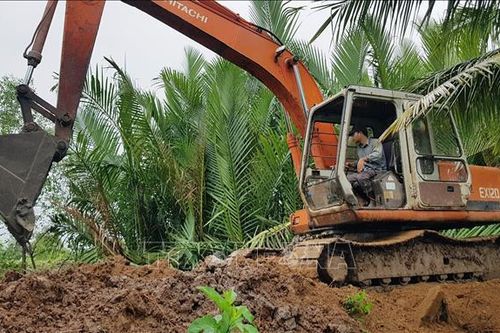 Sóc Trăng: Khẩn trương khắc phục, gia cố đê bao để ứng phó với triều cường