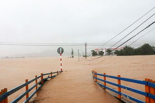 Những vụ lúa thất bát vì thời tiết