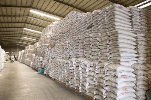 Ban hành qui chuẩn kĩ thật đối với gạo tẻ dự trữ quốc gia