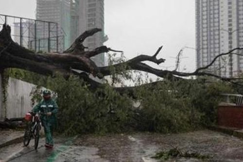 2 cơn bão mạnh cùng lúc gây thiệt hại nặng cả về người và tài sản