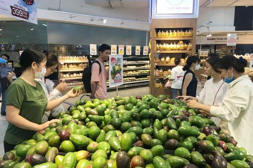Đưa thực phẩm sạch đến người tiêu dùng