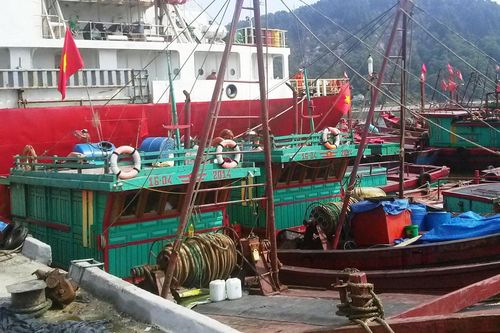 Ngư dân 'mắc cạn' tại cảng cá đầu tư hàng chục tỉ đồng