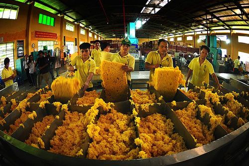 Tạo sức bật cho ngành cao-su