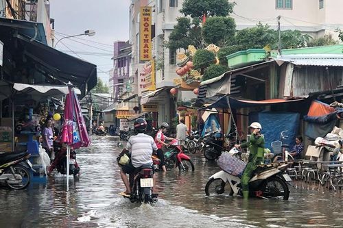 Hàng chục nghìn ha lúa và hoa màu ở Sóc Trăng bị ngập úng do triều cường
