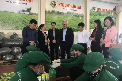 Thái Nguyên: Tái cơ cấu nông nghiệp gắn với ứng dụng công nghệ cao