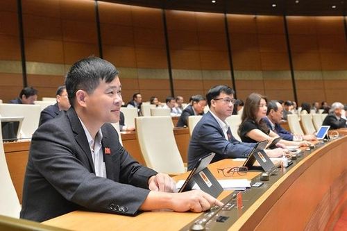 TP.HCM: UBND cấp quận có không quá ba Phó Chủ tịch
