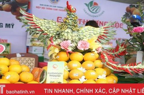 Lễ hội Cam và các sản phẩm nông nghiệp Hà Tĩnh lần thứ 4 sẽ tổ chức trong tháng 12