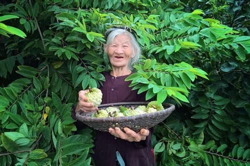 Bài văn miêu tả 'Vườn nhà bà' toàn dấu huyền, vừa bình dị lại cực gần gũi thân thương