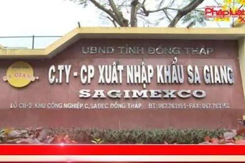 SCIC muốn thoái hết vốn tại Xuất nhập khẩu Sa Giang