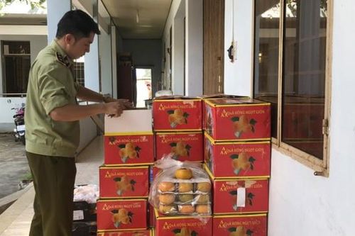 Bình Phước: Bắt giữ gần 1,2 tấn trái cây nhập lậu
