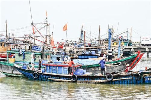 Đồng hành với ngư dân vươn khơi bám biển