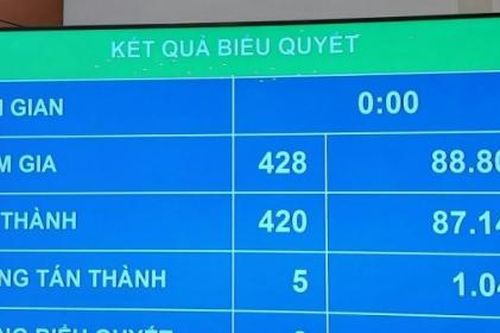 Quốc hội thông qua Nghị quyết về tổ chức chính quyền đô thị TP HCM